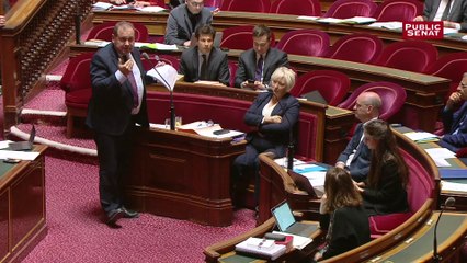 Le sénateur LR Max Brisson insiste sur « l’autorité du professeur et le respect qui lui est dû »