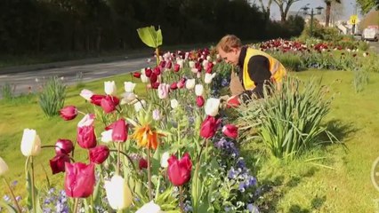 Jardin - 60 ans de cités fleuries