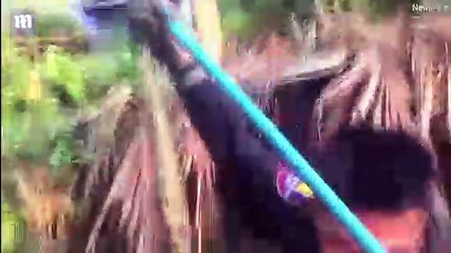 Con trăn dài 3,6m đã nôn ra cả con gà trống mà nó đã nuốt vào trong bụng ở Thái Lan.