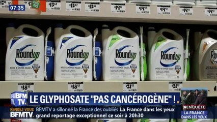 Le glyphosate serait "moins cancérogène que la charcuterie ou la viande rouge" d'après un rapport parlementaire