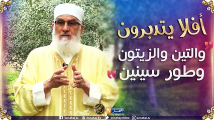 أفلا يتدبّرون/ شجرة الزيتون المباركة.." وَالتِّينِ وَالزَّيْتُونِ وَطُورِ سِينِينَ"