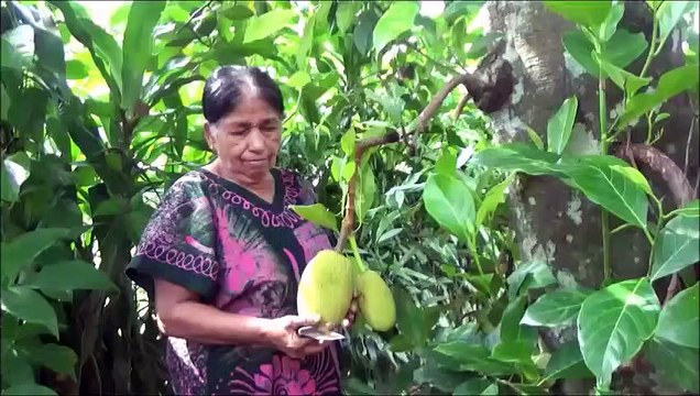 Village Aliments Village de Style Escalopes de préparés dans mon Village par ma Maman