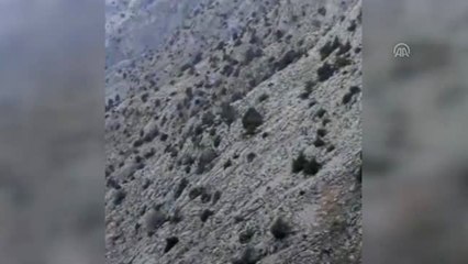 Mantar Toplarken Kayalıktan Düşen Yaşlı Adam Kurtarıldı