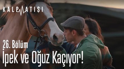 İpek ve Oğuz kaçıyor! - Kalp Atışı 26. Bölüm