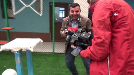 Van kedisinin kameramanla yaşadığı çekişme güldürttü