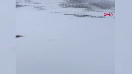 Rize Kaçkarlarda Düşen Dağcı Kurtarılmayı Böyle Bekledi