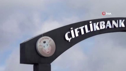 Çiftlik Bank Davasında Mağdurlar Dinleniyor