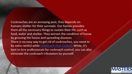 How To Get Rid Of Cockroaches