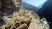 Un conducteur croise un troupeau de moutons sur une route de montagne vertigineuse... Terrifiant