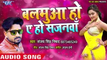 Balamua Ho Ae Ho Sajanwa - He Chanda Mama - Sanjay Singh
