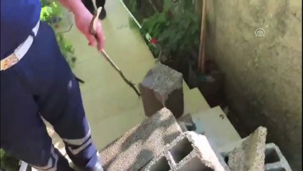 Evin bahçesine giren yılanı itfaiye ekipleri yakaladı - MARDİN