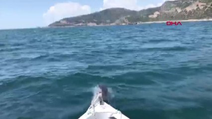 İzmir Yunuslar Balıkçı Teknesiyle Yarıştı