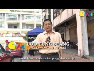 【CARI Video】 Ganja Tenangkan Fikiran, Kenapa Pula Malaysia Haramkan?
