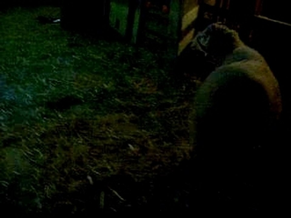 annaba la ville des moutons