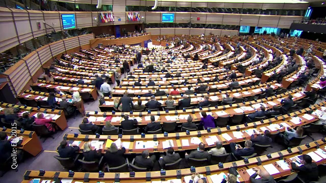 Darum geht es bei der Europawahl