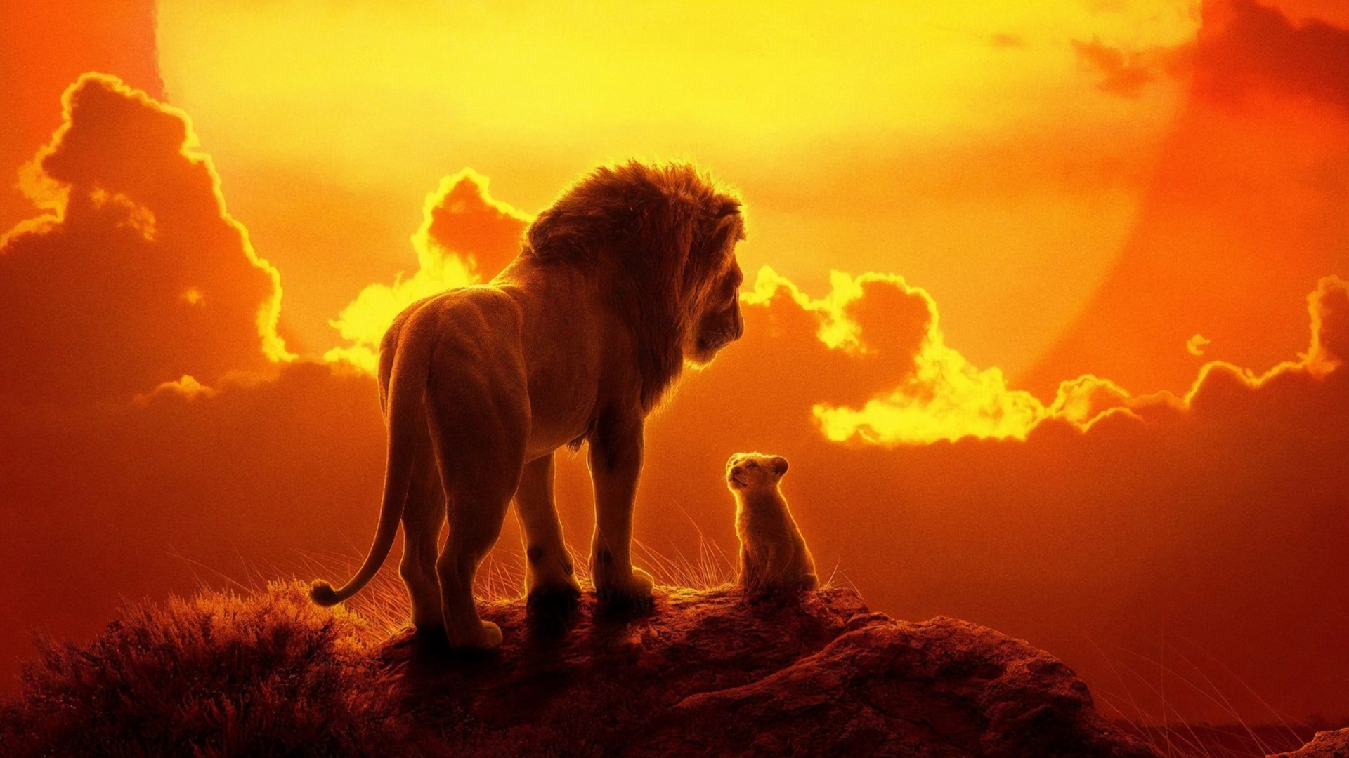 The lion king best sale full movie hindi dailymotion