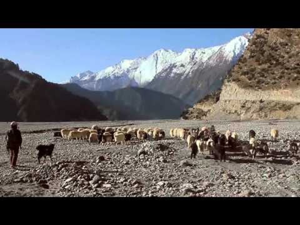 Trekking Video