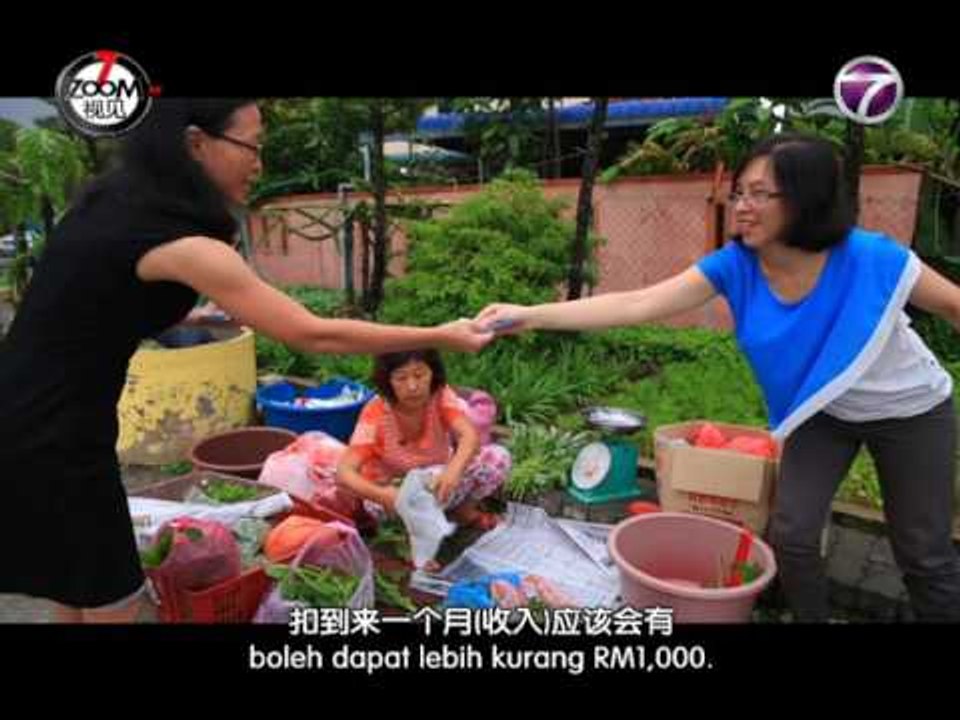 【ntv7 微视见】种菜董事长