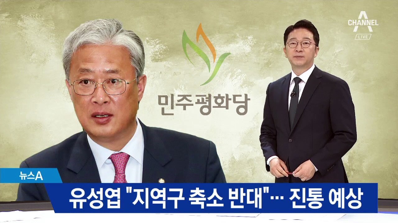 평화당 새 원내대표 유성엽 “지역구 의석 축소 반대”