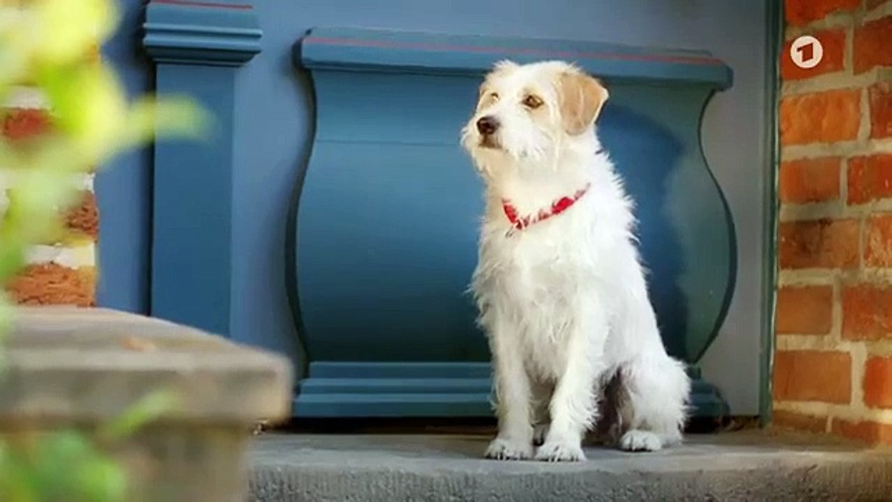 Folge 2883: Neue Pläne | Rote Rosen