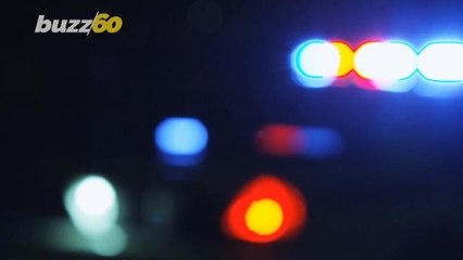 Vertical Vehicle! New Jersey Rescue Crews Respond To Crash Resulting In Car Standing Straight Up!