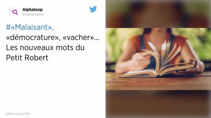 « Boboïser », « anticasseur », « welsh » : Le Petit Robert dévoile ses nouveaux mots