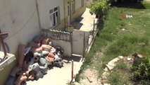 Antalya'da Komşu Kedisine Pompalı Tüfekle Saldırı İddiası