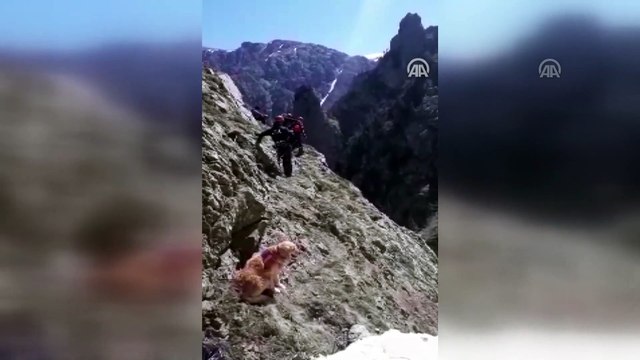 AA muhabirini arama çalışmaları devam ediyor (3) - BAYBURT