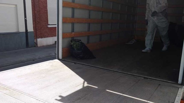 Centre ville de Mons découverte de une plantation avec arrestation.Video Eric Ghislain