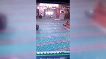 Camiye Giren Kedi Güvenlik Kamerasında - Kocaeli