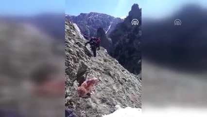 Aa Muhabirini Arama Çalışmaları Devam Ediyor (3)