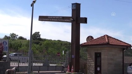 Zifte Yapışan Köpeğe Belediye Ekipleri Sahip Çıktı - Kocaeli