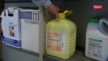 Le glyphosate empoisonne la sortie d’un rapport parlementaire