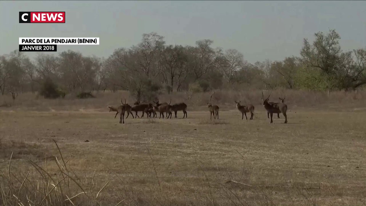 Enlèvement des deux otages français : des zones d’ombres persistent