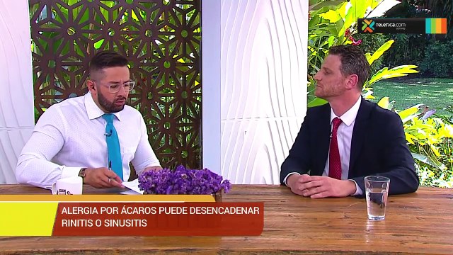 bd-alergias-ocasionadas-por-ácaros-130519