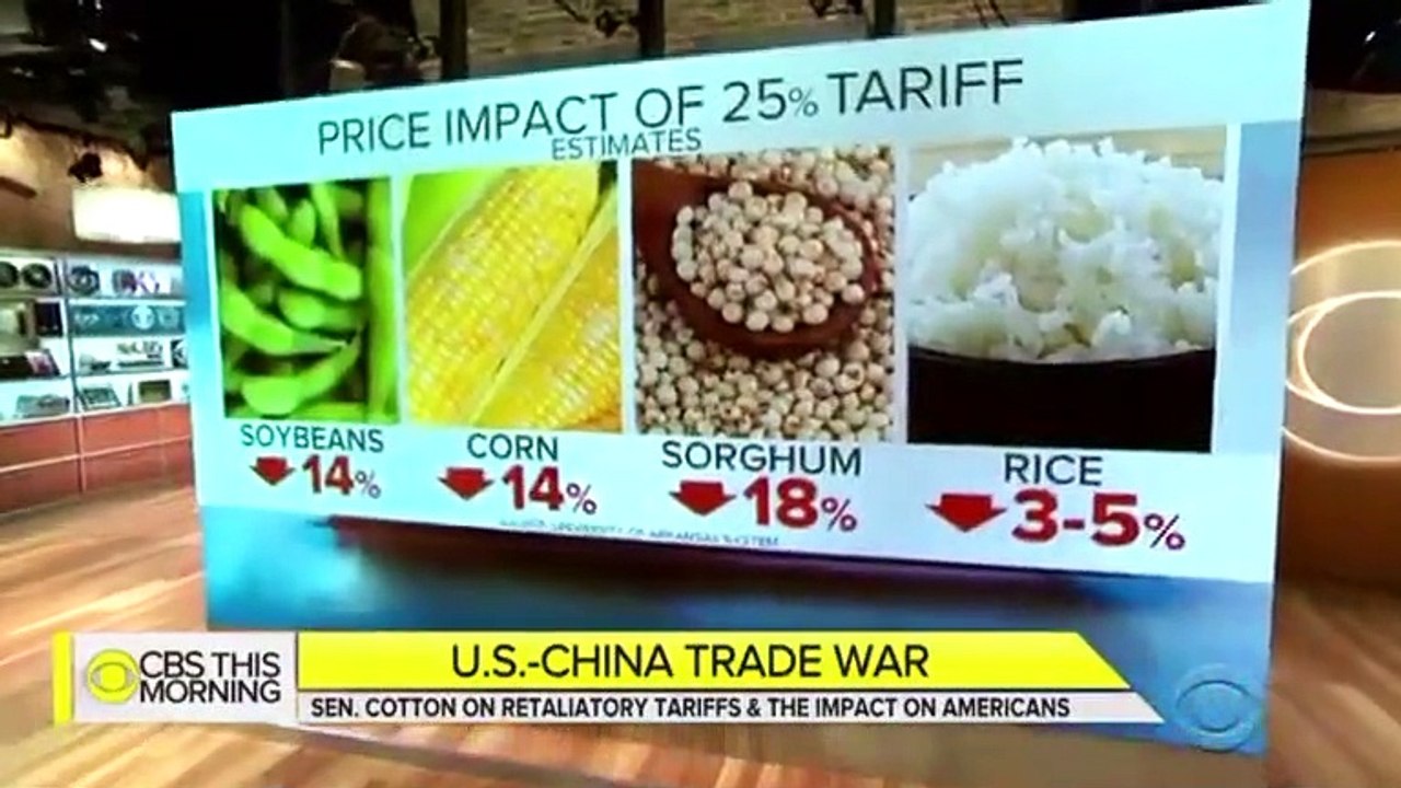 Tom Cotton Compares Trade Sacrifices To Sacrifice of American Soldiers