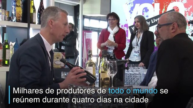 Degustação, vendas e aprendizados sobre o vinho