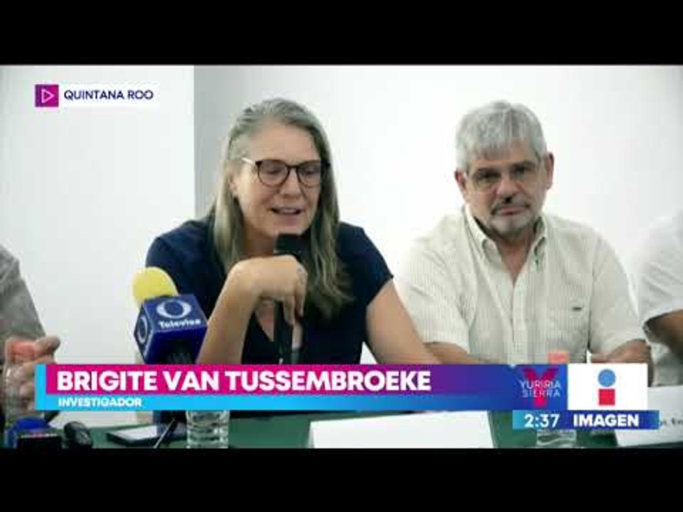 Empresarios y científicos unen esfuerzos contra el sargazo en Quintana Roo | Noticias con Yuriria