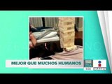 Perrito saca una pieza del Jenga sin tirarla | Noticias con Francisco Zea