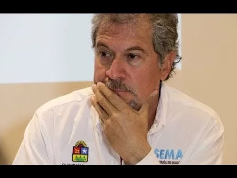 Aprovechar los usos del sargazo, una tarea pendiente: Alfredo Arellano en Trip Heraldo