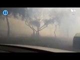 Actividad humana, causa de incendios en el Valle de México: Arturo Cruz Reyes