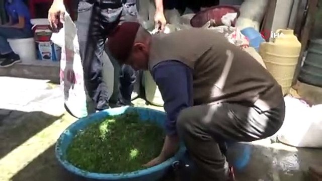 Siirt'te Aşırı Yağışlar Peynir Fiyatlarını da Etkiledi