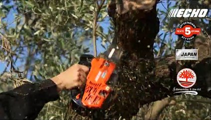 Βήμα Για Όλους  Debate Υποψηφίων Δημάρχων Χαλκίδας  13-5-2019