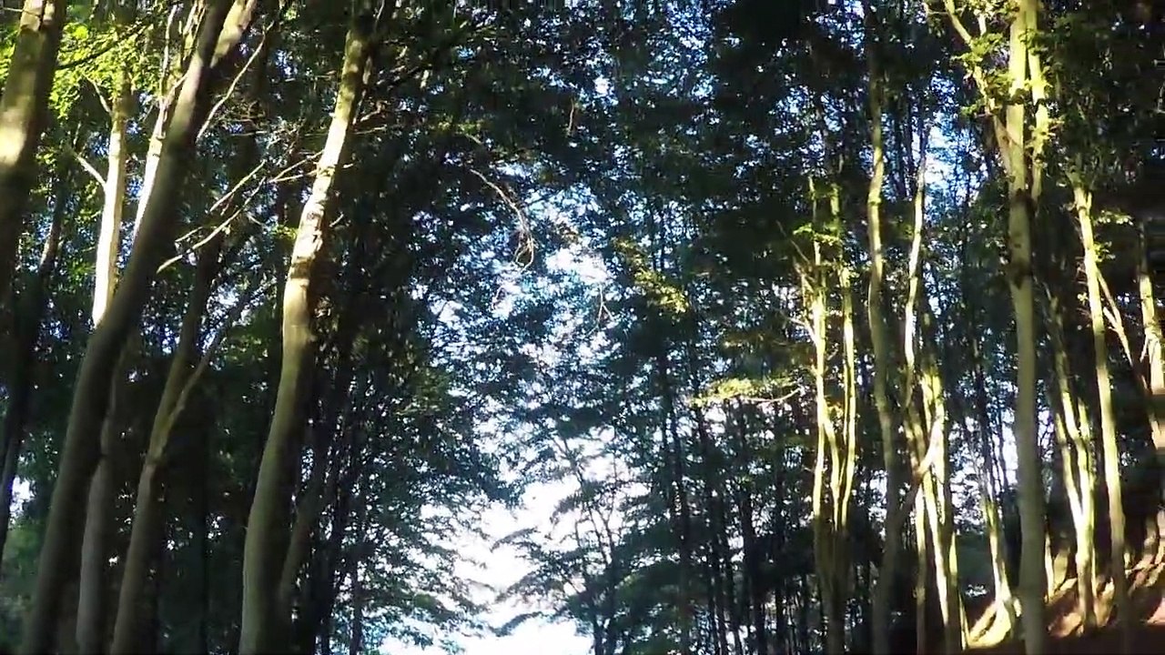 26 | Laurent Guidali - Dinard | Nature/City