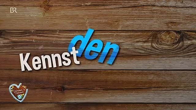 Kennst den scho ...: Stevies Lieblingswitz (mit Untertiteln!)