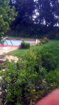 FERME MENZEL BOUZELFA 7500 m²