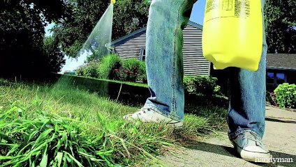 Getting Rid Of Crabgrass