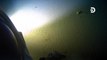 Deepest-ever dive finds plastic at bottom of Mariana Trench