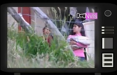 pandillas guerra y paz capitulo 57