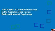 Full E-book  A Colorful Introduction to the Anatomy of the Human Brain: A Brain and Psychology